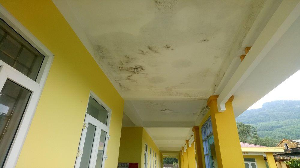 Chống thấm TNCONS chuyên chống thấm nhà ở