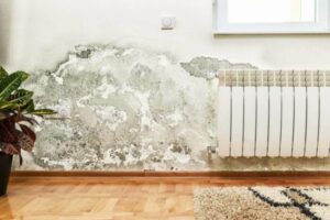Xử lý thấm dột Bắc Ninh uy tín, bảo hành dài hạn cho công trình đã sử dụng nhiều năm