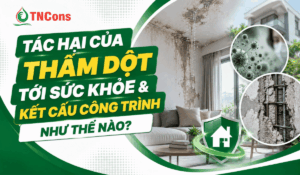 Tác hại của thấm dột tới sức khỏe & kết cấu công trình như thế nào?