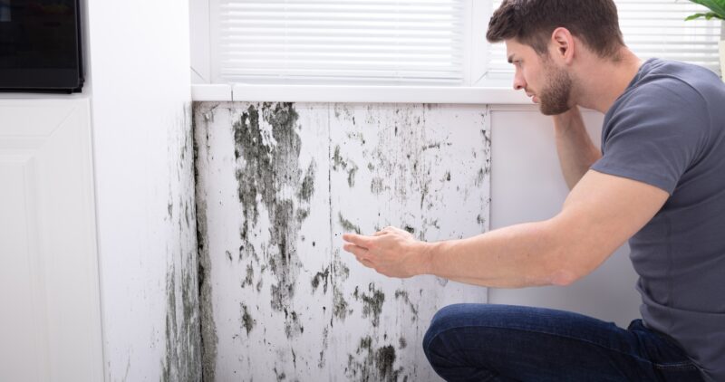 Tường là vị trí dễ bị thấm dột trong nhà
